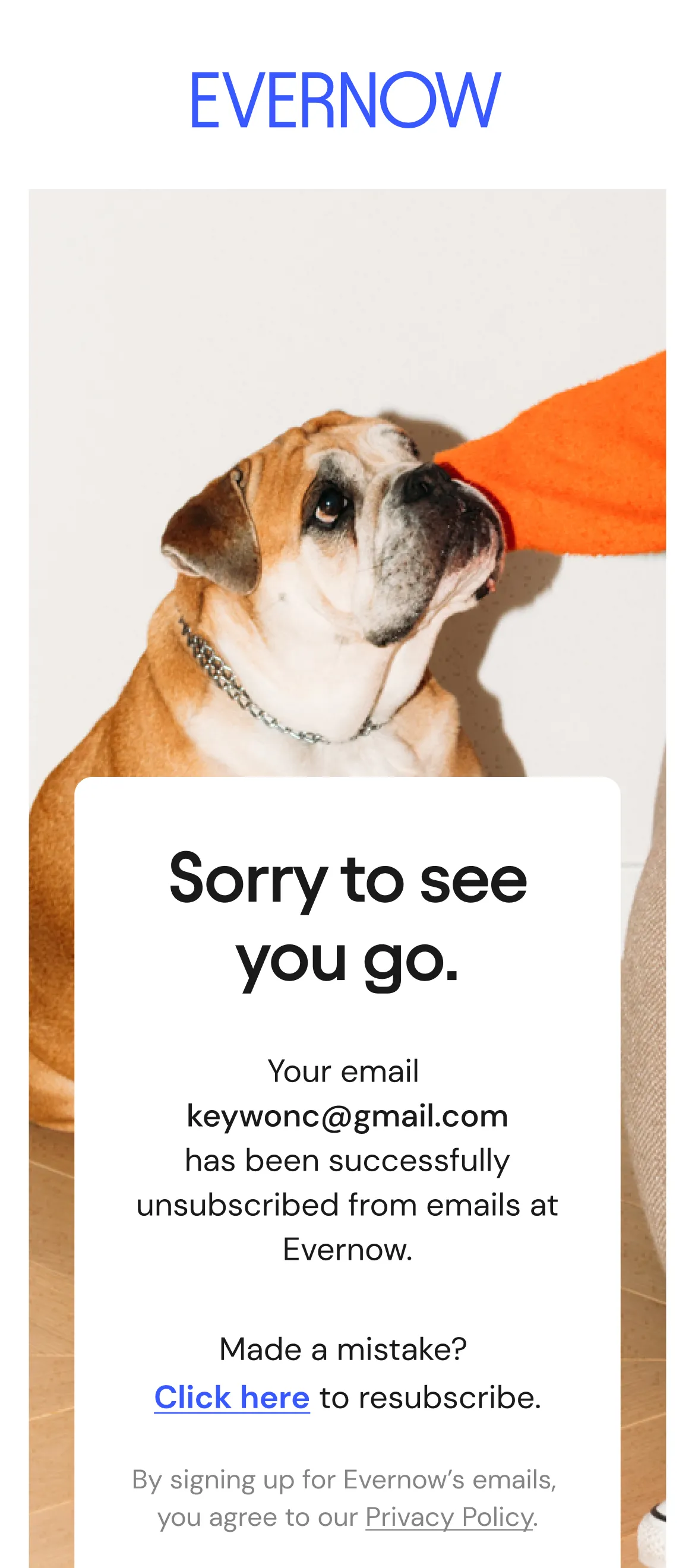 Email opt-out mobile webpage that says 'Sorry to see you go'